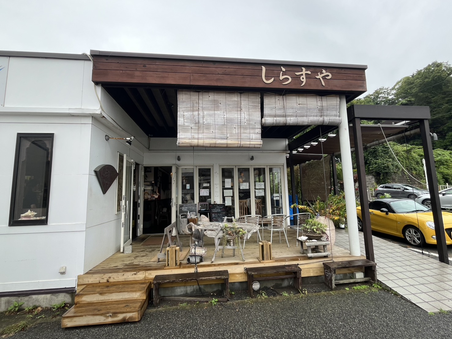 網元直営の新鮮しらすを堪能 しらすや Koshigoe, Kamakura