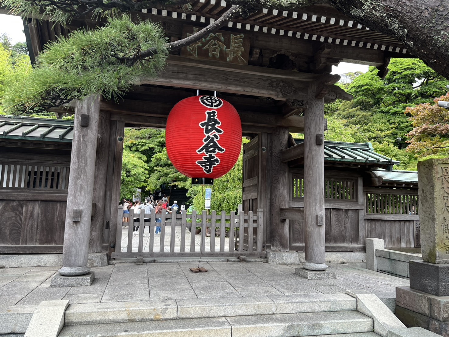 鎌倉・長谷寺の山門に掛かる赤い提灯。雨の日に訪れたあじさいの名所。